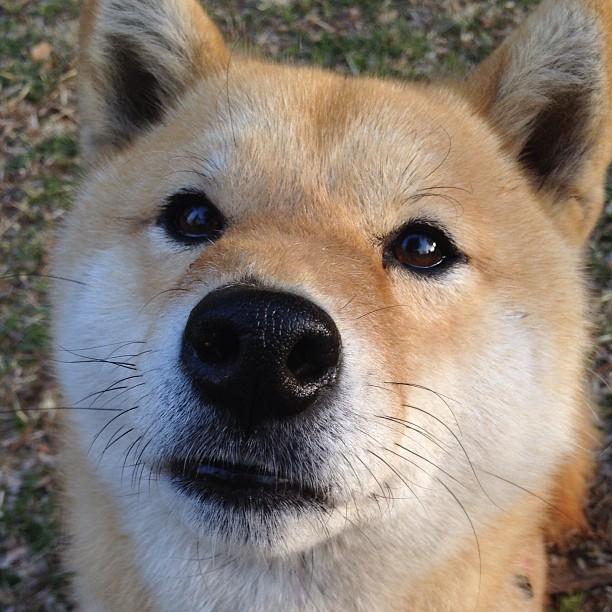 青少年运动健康评估,青少年运动等级评测有什么用