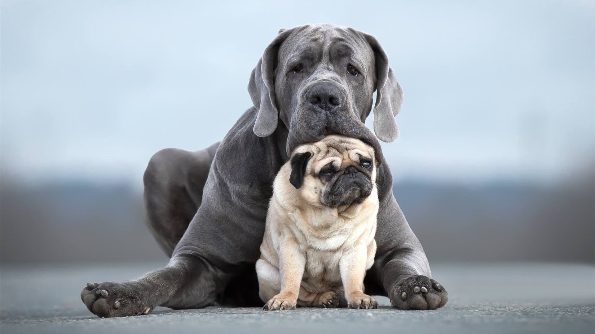 世界杯预选赛中国队平局 战术调整成关键,世界杯预选赛中国队打平