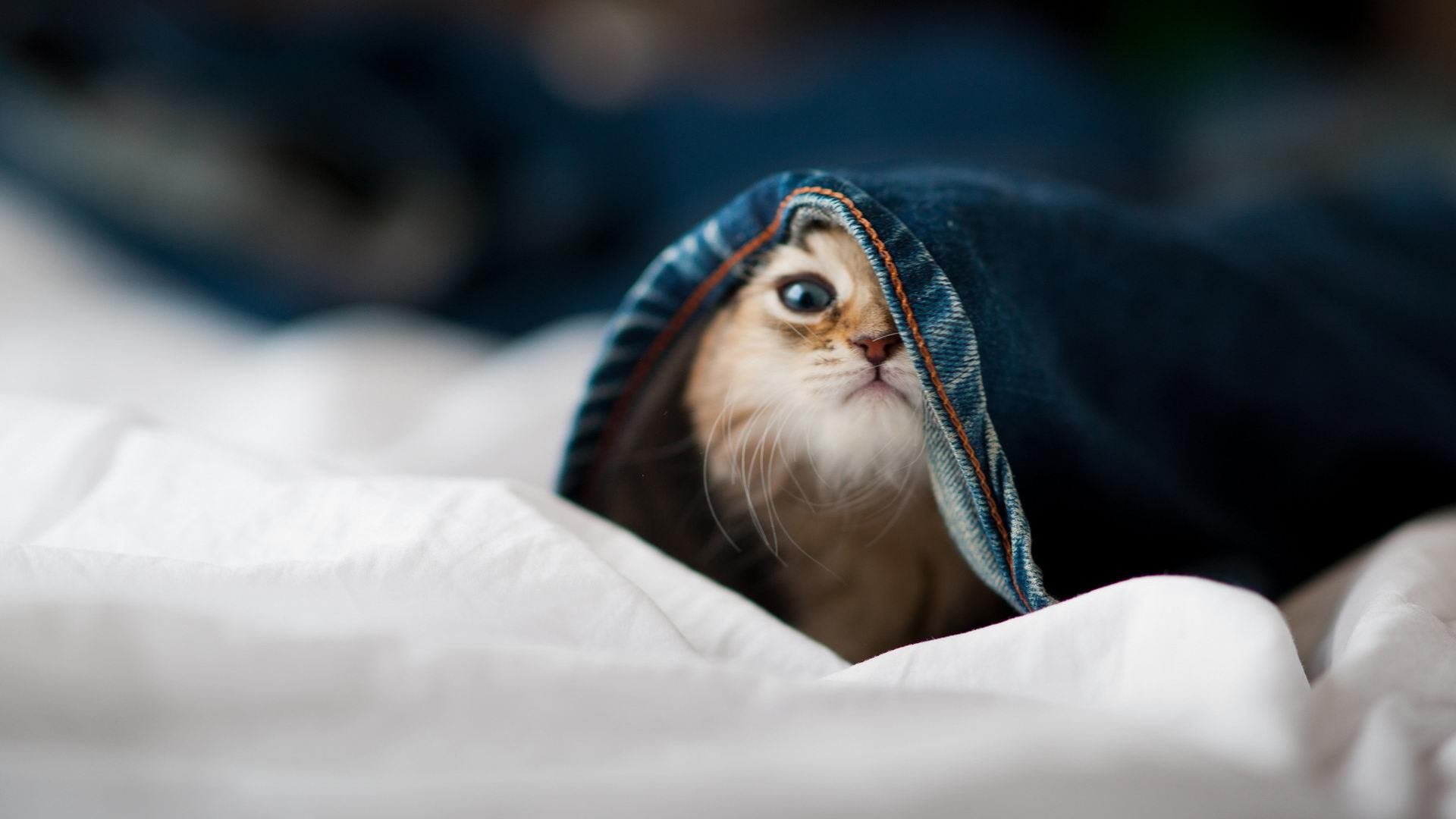 中国男篮注重比赛经验积累,中国男篮战术分析