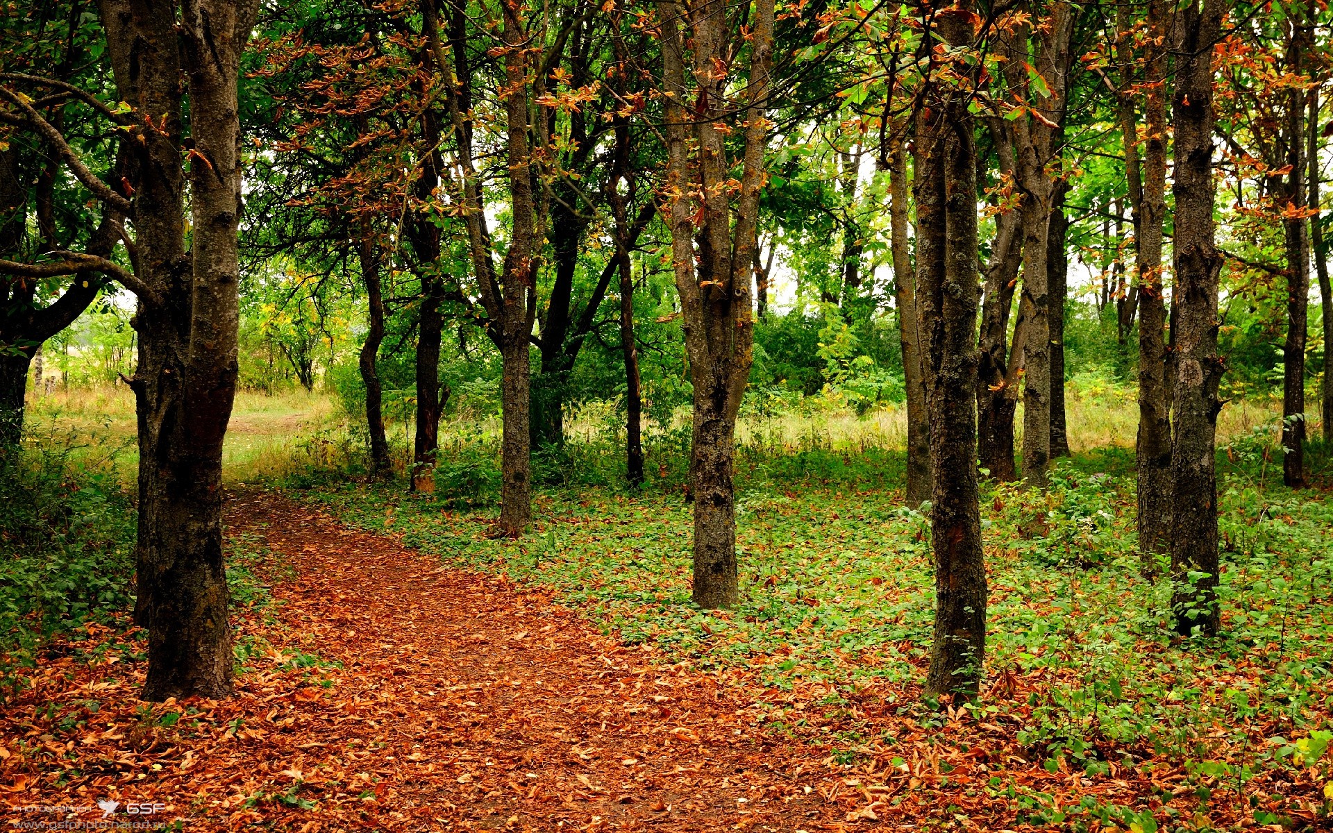 射手伤停对冠军竞争形势的实质影响评估,射手被伤害之后还要原谅吗