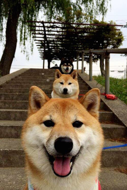 新加坡乒乓队未来前景:如何突破局限性,塑造顶级球队,新加坡乒乓球员有哪些人