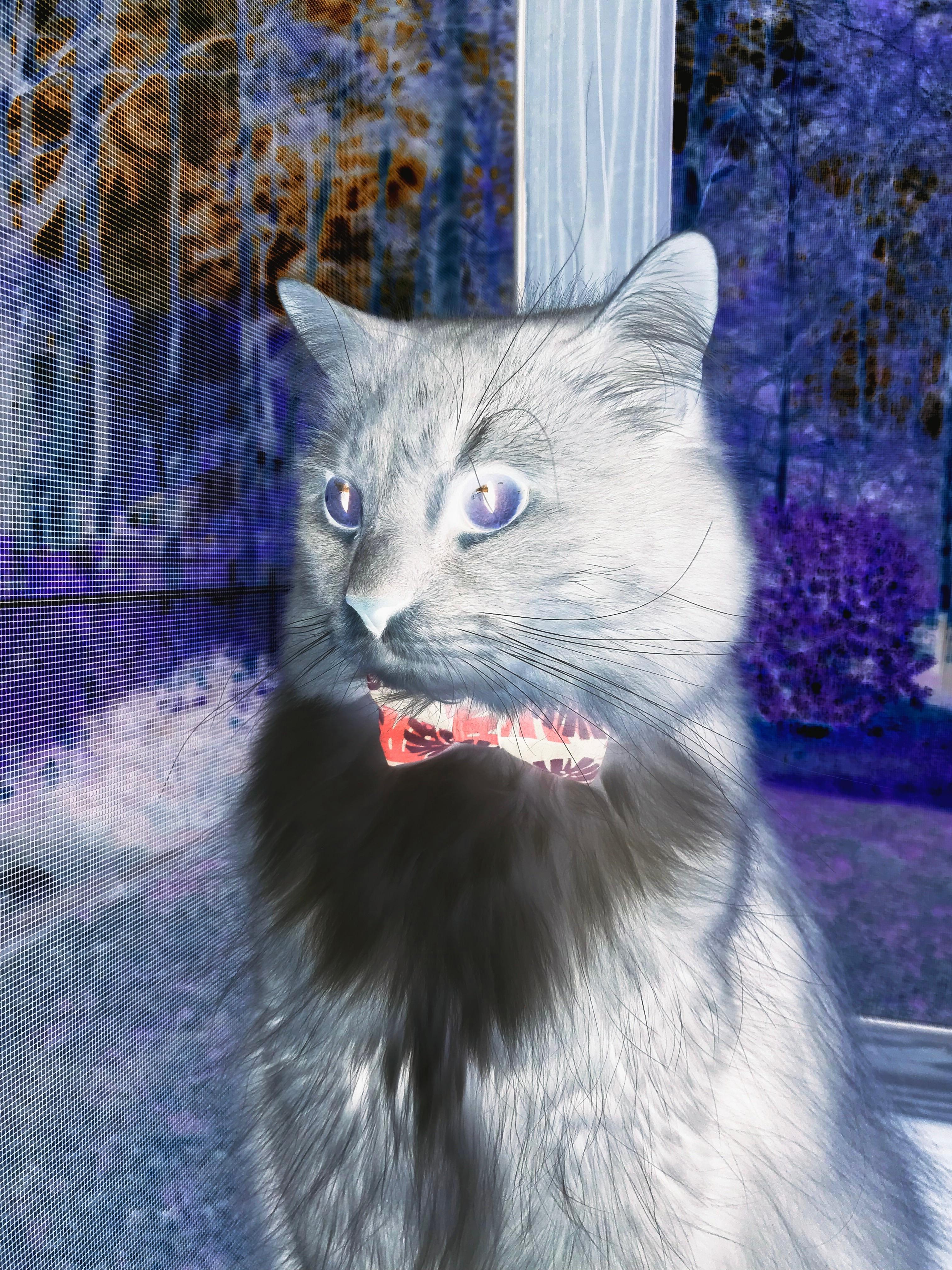 三人短传小组打出连续突破,三人短传小组打出连续突破的球员