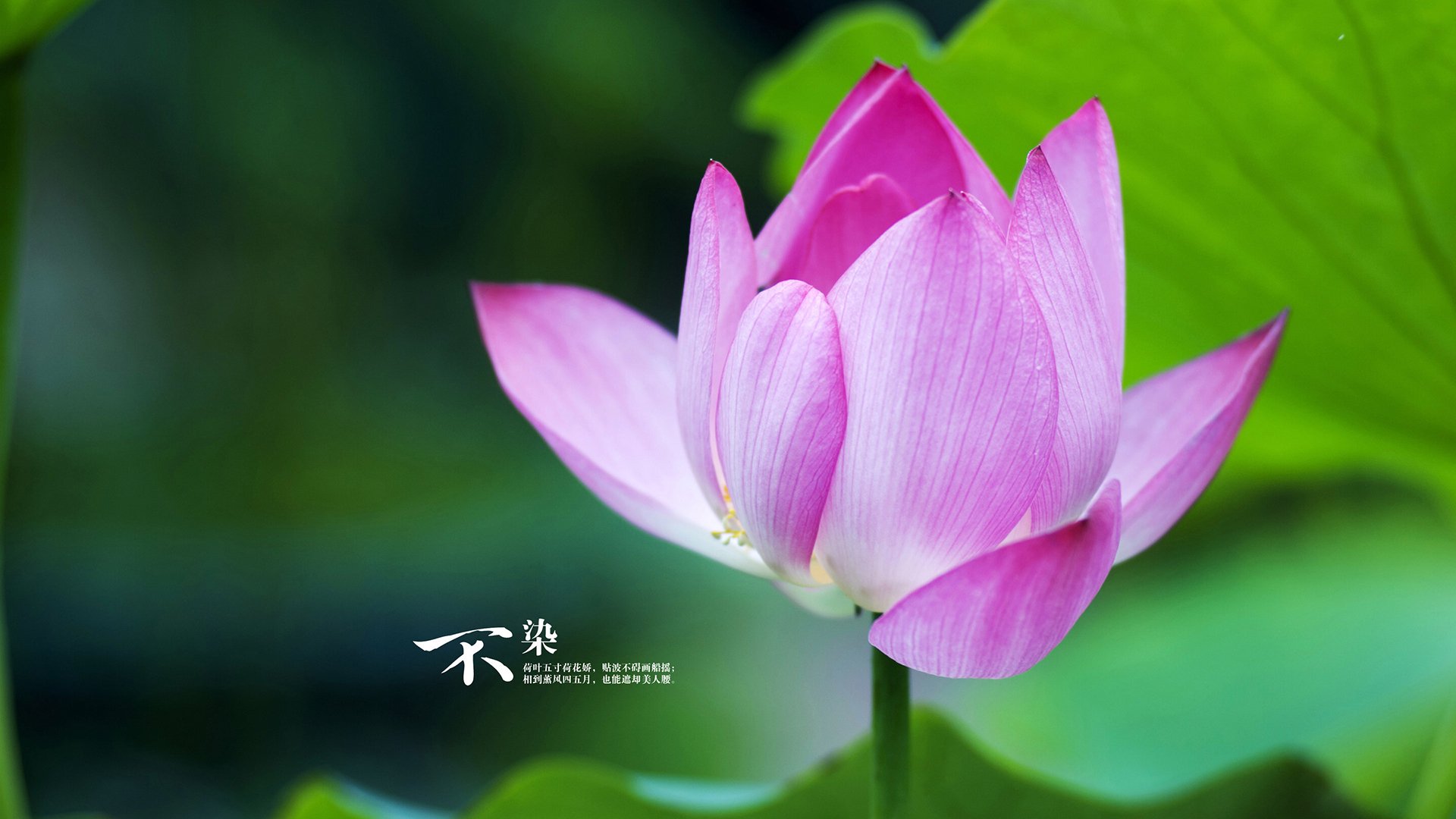 中路推进密度是否决定整场进攻主轴走势