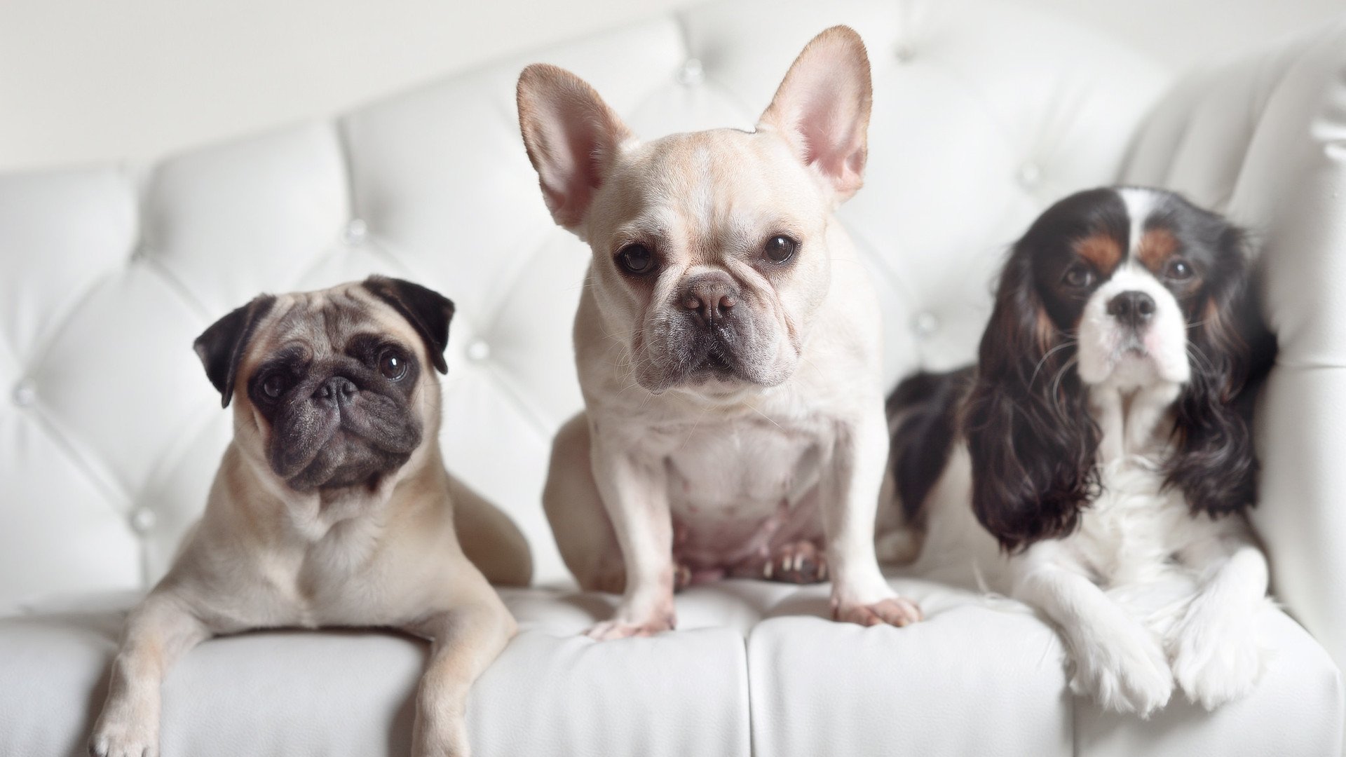 国际热身赛中国青年队爆冷 球迷热议教练战术,中国国家队 热身赛